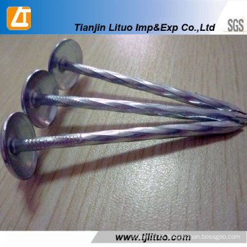 Cabeça de guarda-chuva Galvanizado Twisted / Plain Shank Roofing Nails